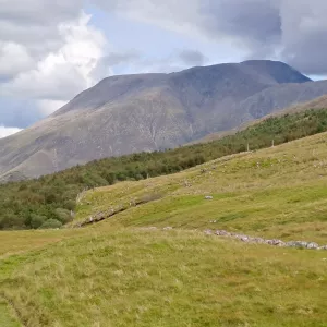 1756905423150   kopiert