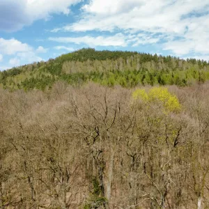 dji fly 20260416 130106 244 photo optimized17