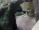 pxl 20260417.mp