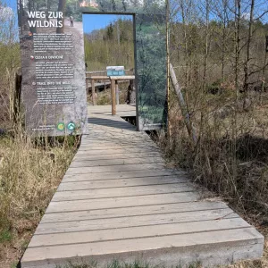 pxl 20260417.mp