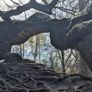 pxl 20260418